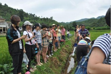 通泰公司簡訊——和諧團(tuán)隊 田園相聚