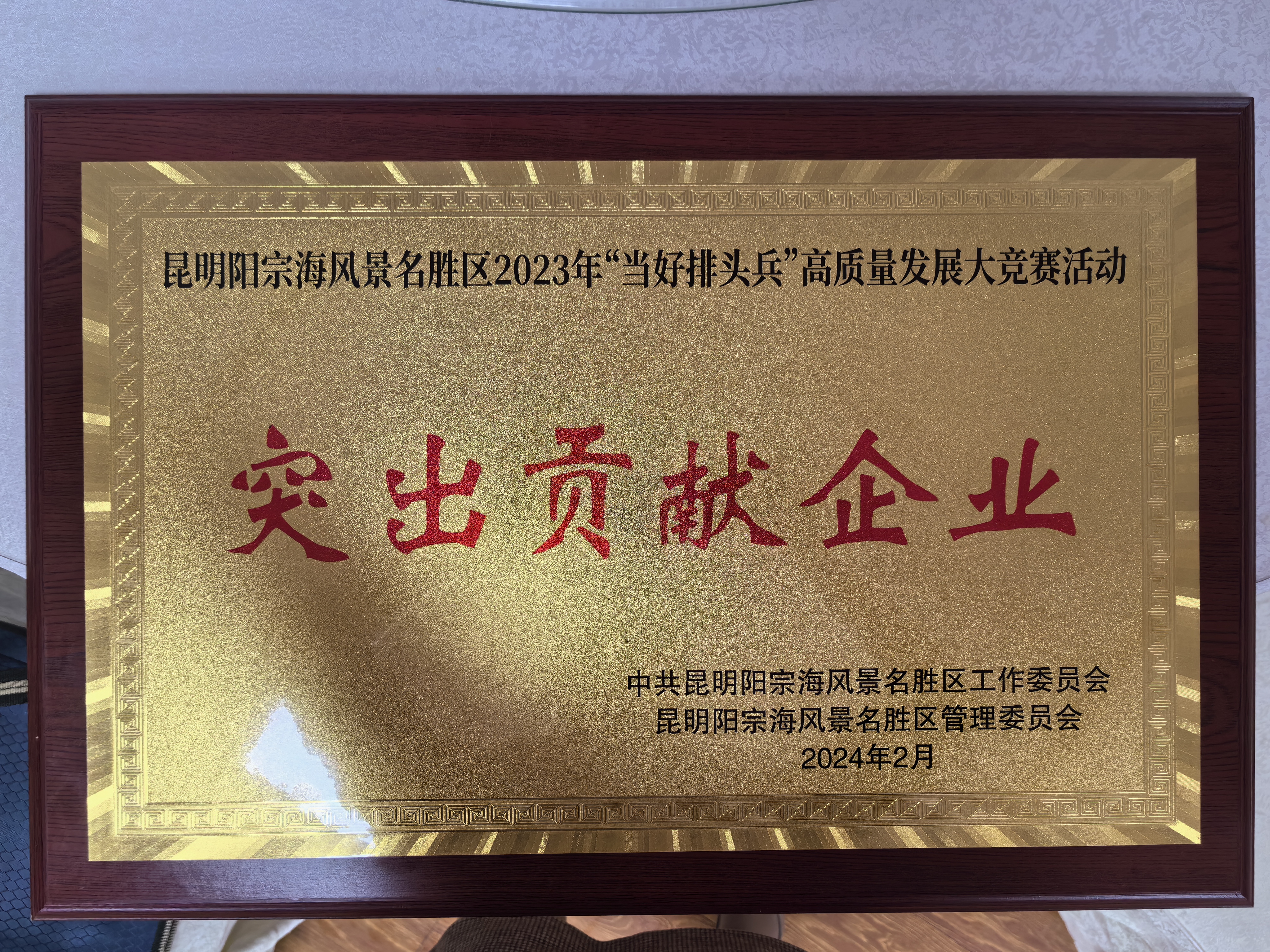 陽宗海片區(qū)榮獲集體和個(gè)人榮譽(yù)